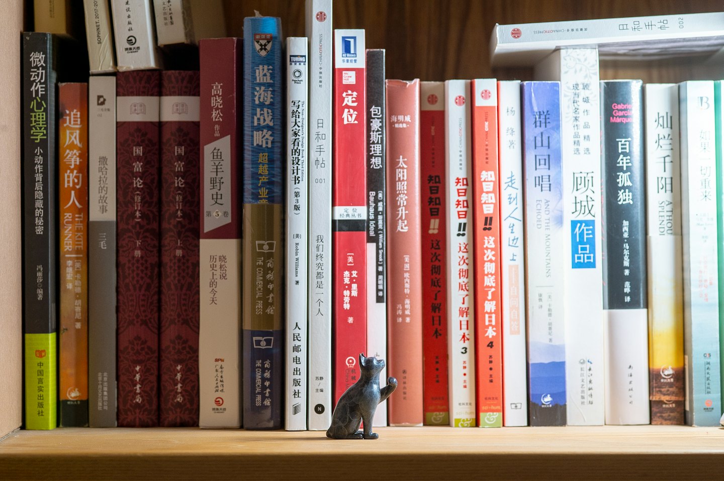 Сива фигурка на котка стои на рафт, пълен с книги.